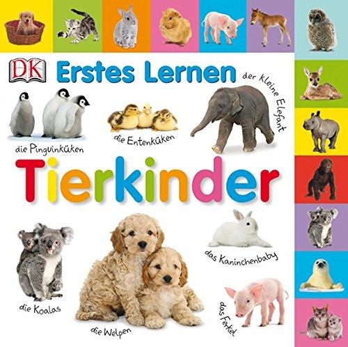 Erstes Lernen. Tierkinder