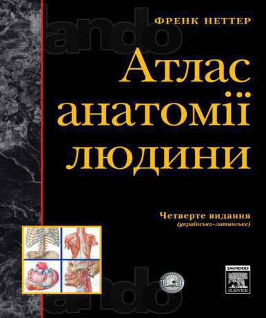 Атлас анатомії людини