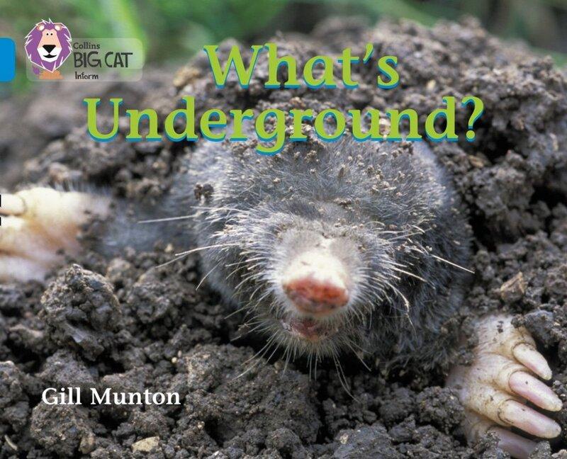 Посібник «Big Cat 4 What's Underground?