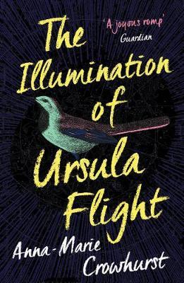 The Illumination of Ursula Flight