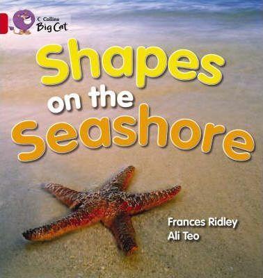 Shapes on the Seashore