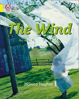 Робочий зошит «The Wind. Workbook»