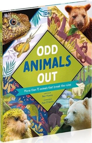 Odd Animals Out