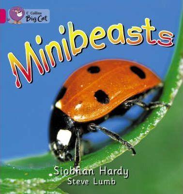 Робочий зошит «Minibeasts. Workbook»