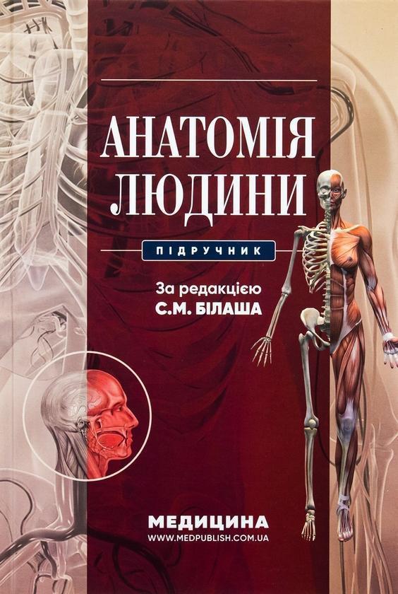 Анатомія людини
