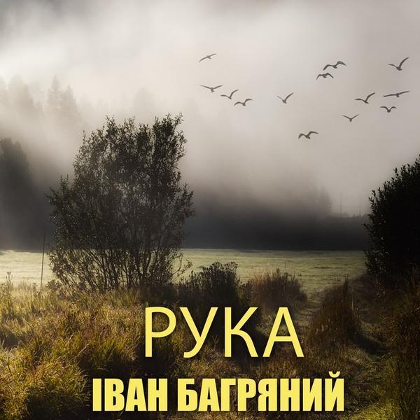 Аудіокнига Рука