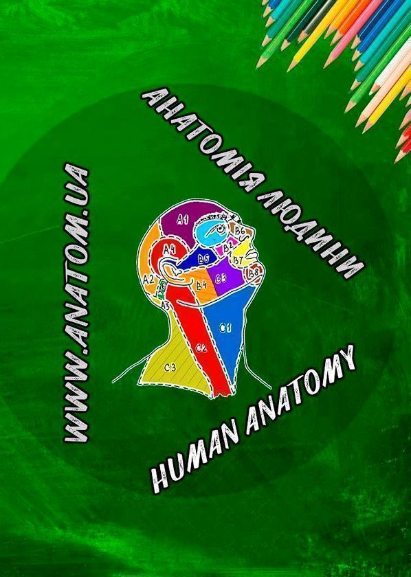 Анатомія людини. Контроль за самостійною підготовкою...