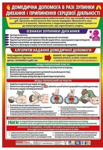 Книга Домедична допомога в разі зупинки дихання і припинення...