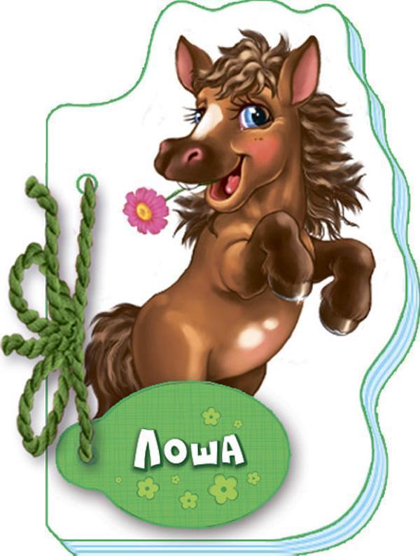 Книга Мої любі звірятка. Лоша