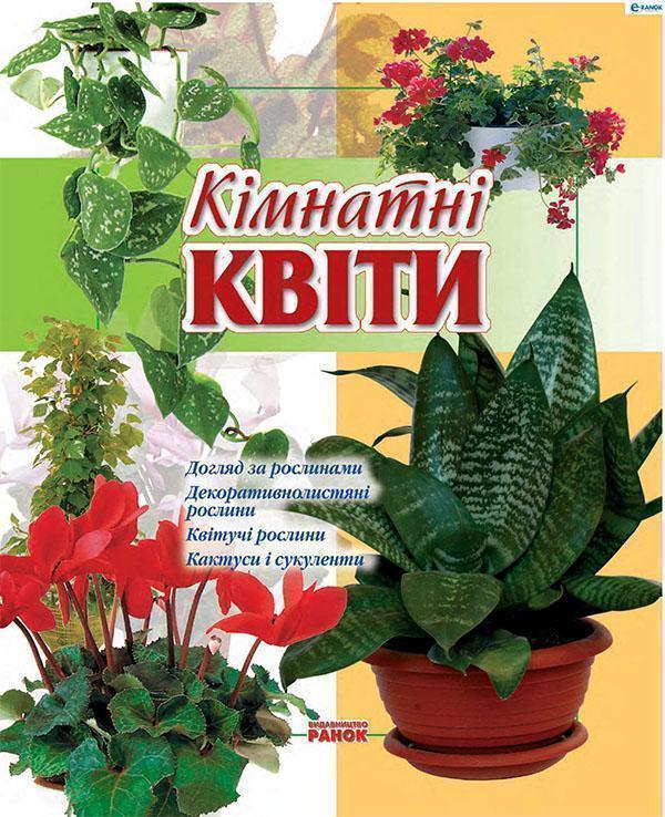 Кімнатні квіти