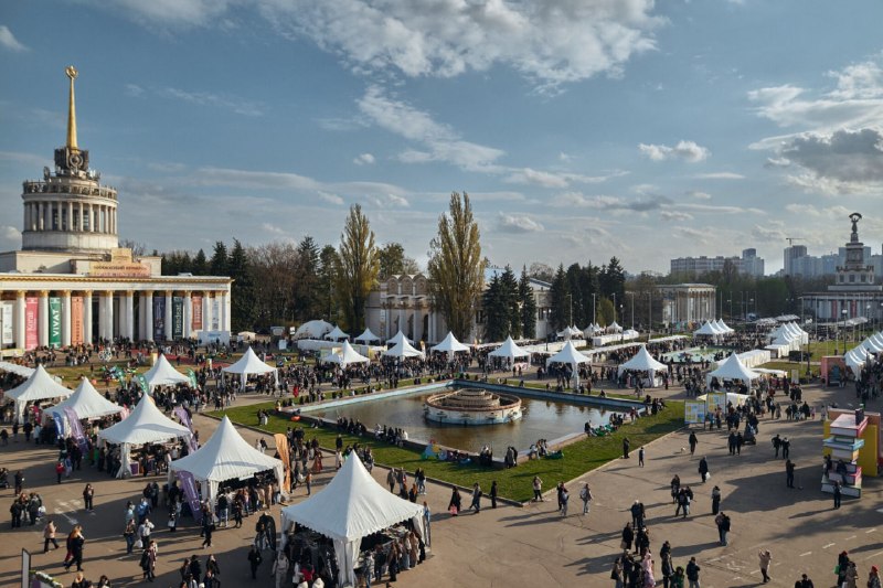 Осінній фестиваль «Книжкова країна» скасували через безпекову ситуацію та перенесли на весну 2027 року